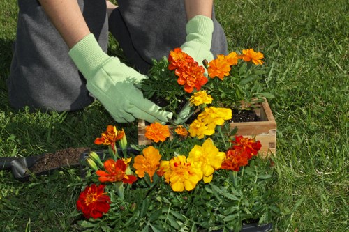Garden maintenance activities including pruning and mulching
